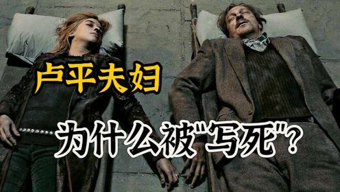 JK罗琳为什么要在《哈利·波特》结尾时,让卢平夫妇“下线”?_高清1080P在线观看平台_腾讯视频