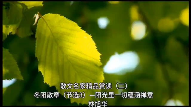 散文名家精品赏读(二):林旭华《冬阳散章》(节选3)——阳光里一切蕴涵禅意