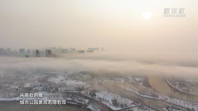 河北沧州:雪映雾绕 宛如仙境