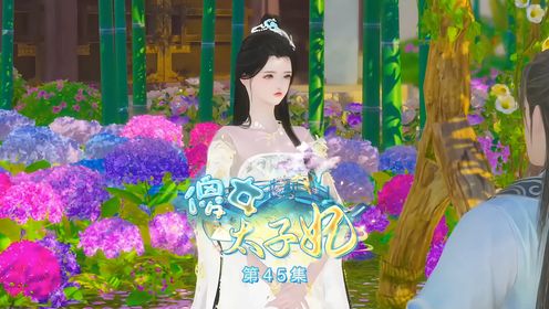 《傻女太子妃》第45集原来元宝的义母也是穿越而来的_高清1080P在线观看平台_腾讯视频
