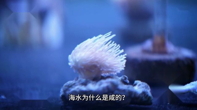 为什么海水是咸的?