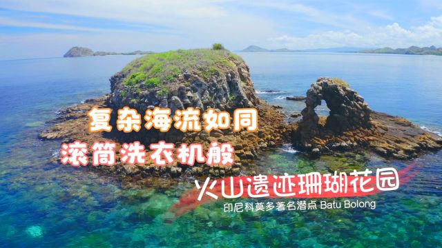 著名印尼科莫多BatuBolong潜点,这里环岛复杂海流如同滚动洗衣机