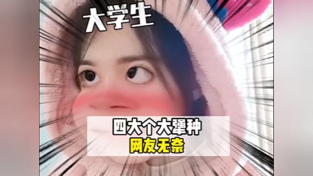 四大犟种不听劝,网友无奈泪流完.