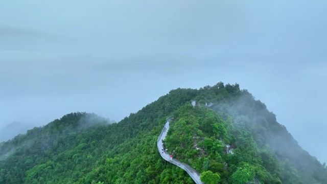 来云海浸泡一飞云茶,领略丫山好风光.