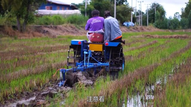 国外自制小型耕田机,过程就像削地皮,行驶一遍就耕好了