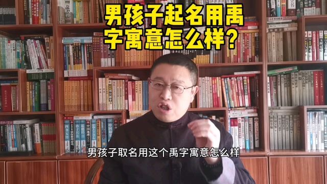 专业宝宝起名,男孩子起名用禹字好不好?取名老师秦华