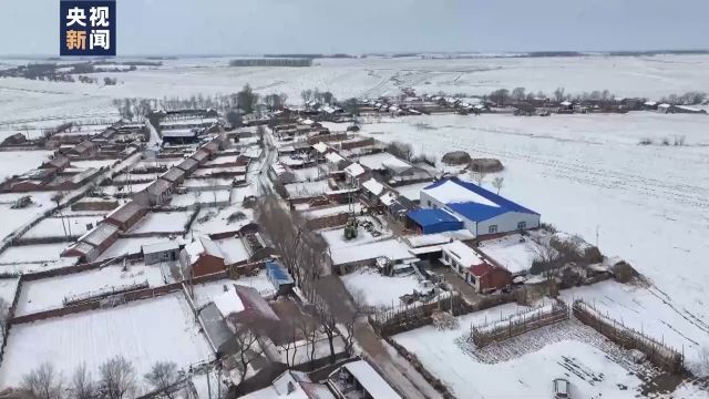 履职一年间丨带领乡亲们种好地、多打粮 她在调研中又有了新建议