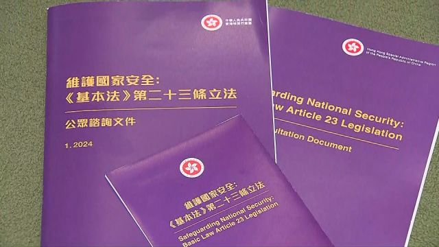 在港外国商会代表支持香港基本法第23条立法