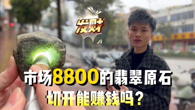 市场报价8800满晴绿的翡翠原石,切开能值多少钱?