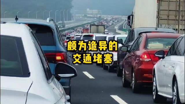 “幽灵堵车”到底是什么?#科普一下 #涨知识 #幽灵堵车