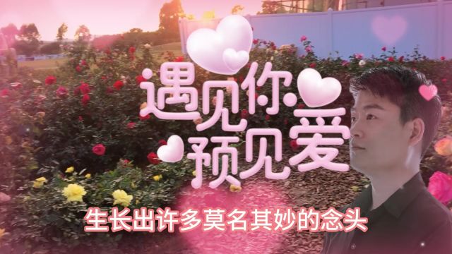 你是如此的美丽