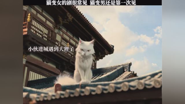 猫变女的剧很常见 猫变男还是第一次见 #大理寺少卿游首播