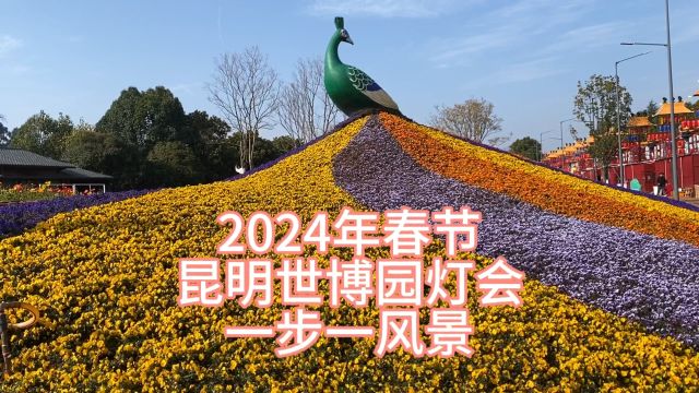 2024年春节,昆明世博园灯会,一步一风景