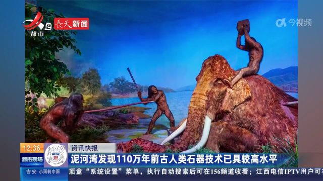 泥河湾发现110万年前古人类石器技术已具较高水平