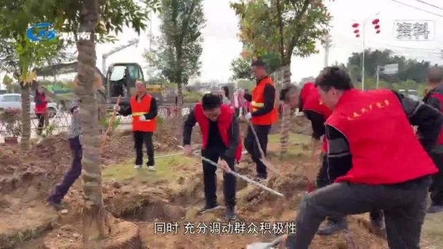 【百千万工程】植树添绿焕生机 奏响绿美生态“奋进曲”