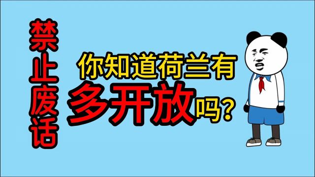 禁止废话:你知道荷兰有多开放吗