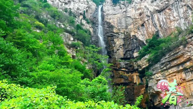 用“上春山”的方式打开淄博