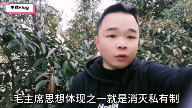 反毛派为什么害怕毛主席思想回归?