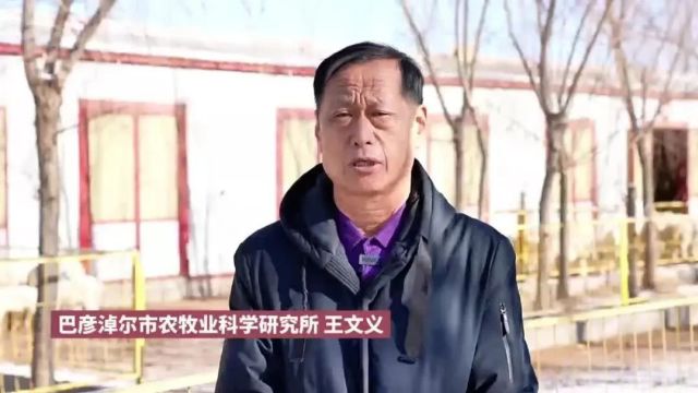 “中国羊都”名片上再添“一只羊”