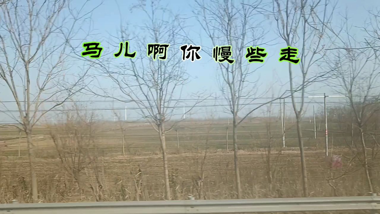 电子琴演奏 马儿啊你慢些走 向经典致敬