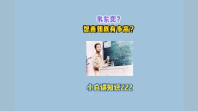 韦东奕韦神智商到底有多高?#涨知识