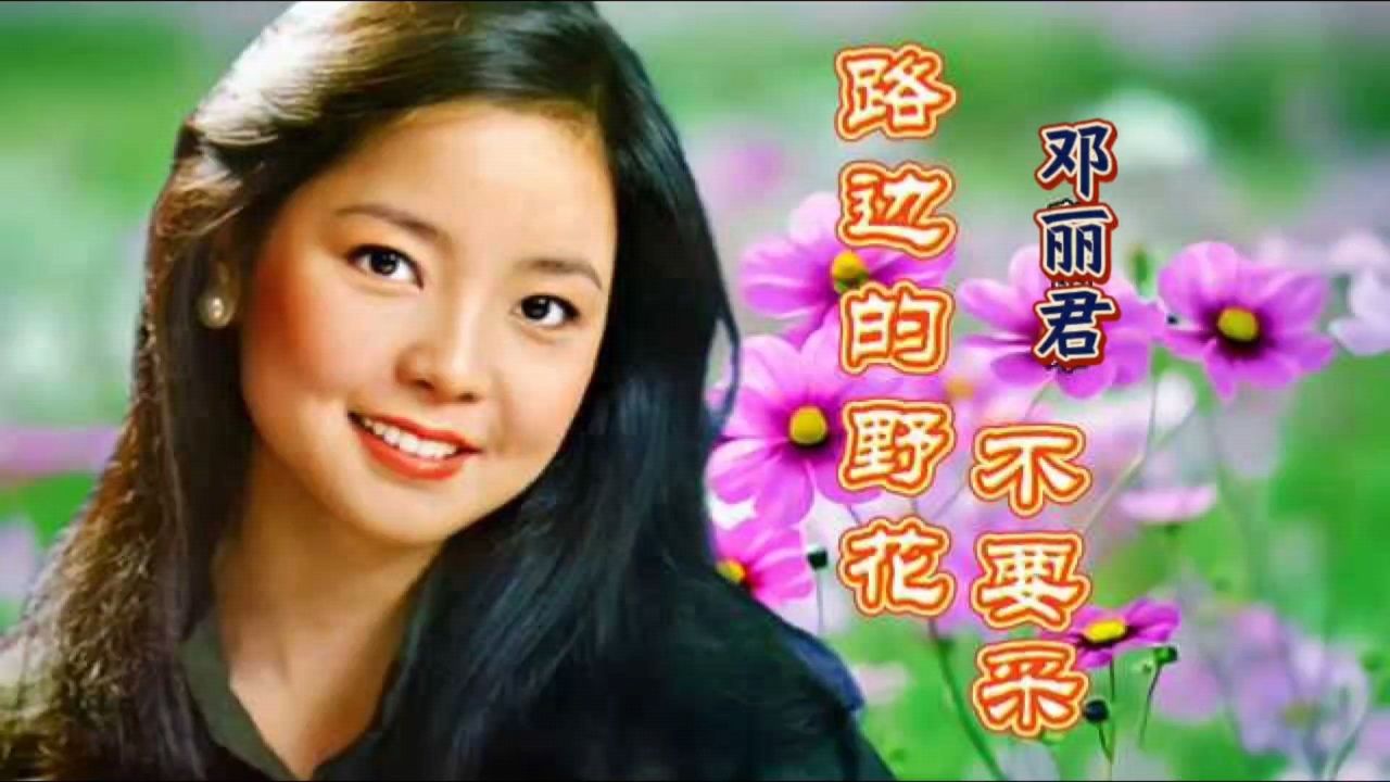 《路边的野花不要采》邓丽君,经典歌曲值得听听!