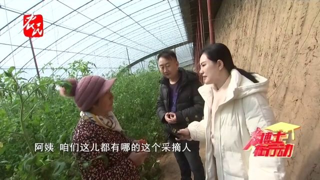 科技助农 | 采摘园的客源良性循环管理方式是什么?