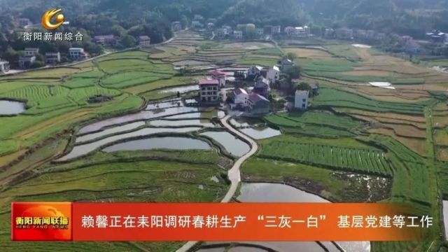 赖馨正在耒阳调研春耕生产 “三灰一白” 基层党建等工作