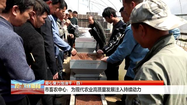 系列报道市畜农中心