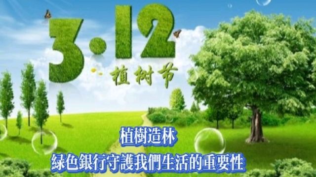 植树造林:绿色银行守护我们生活的重要性