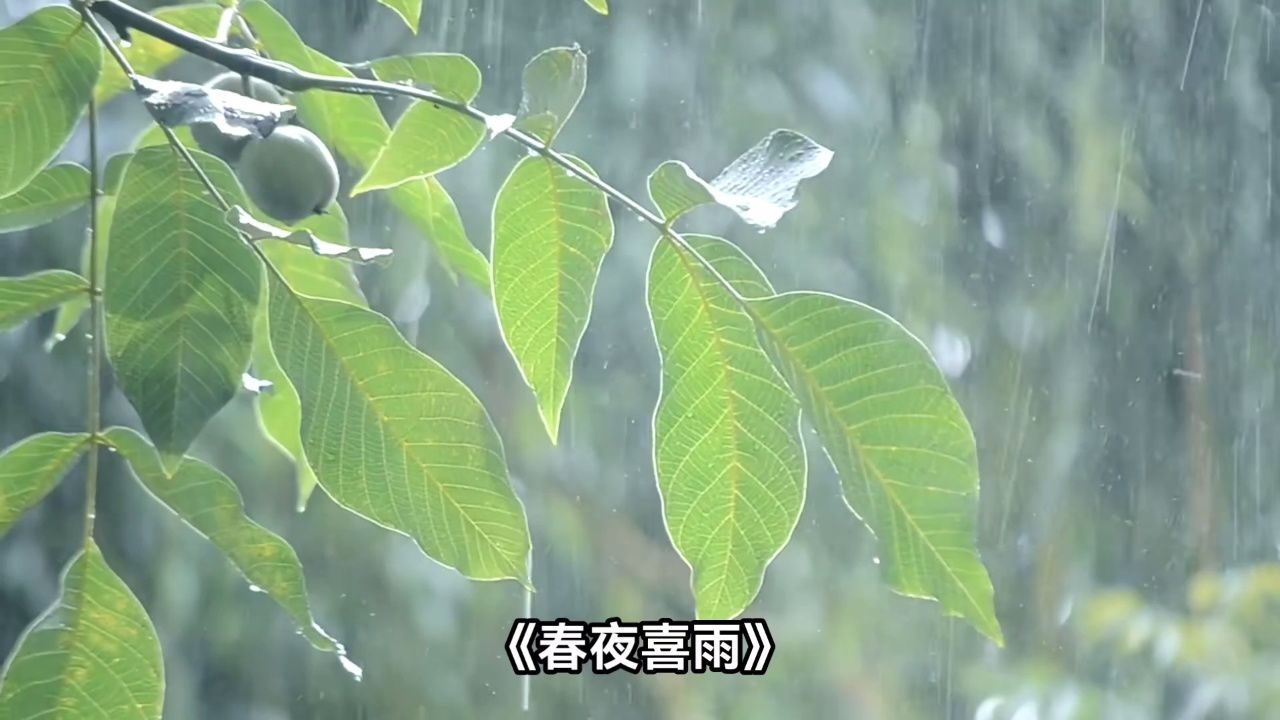 《春夜喜雨》【作者】杜甫【朝代】唐