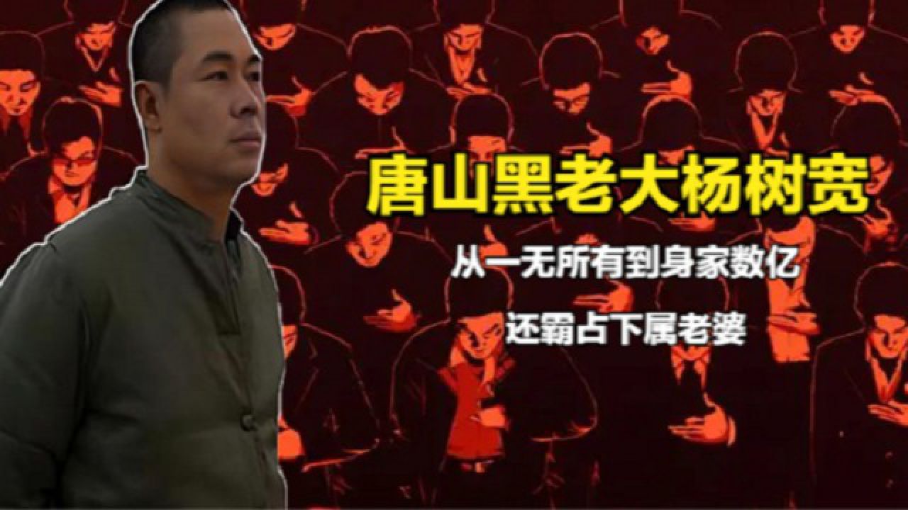 唐山黑老大杨树宽,从一无所有到身家数亿,还霸占下属老婆