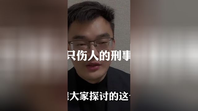 犬只特别是烈性犬伤人,动物的饲养人和管理员应当承担刑事责任.