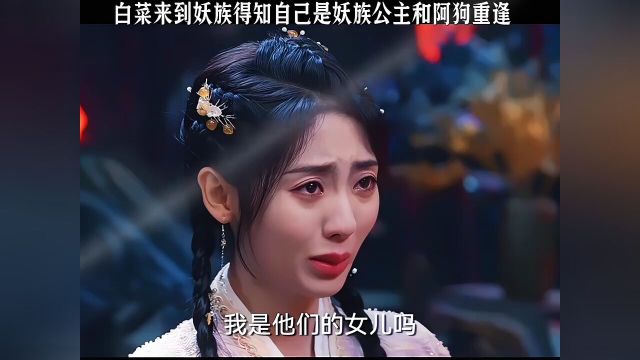 白菜来到妖族得知自己是妖族公主和阿狗重逢