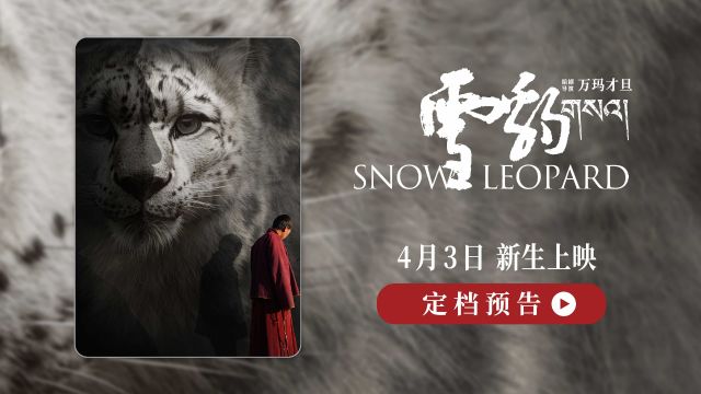 电影《雪豹》定档4月3日,万玛才旦作品展人豹矛盾冲突