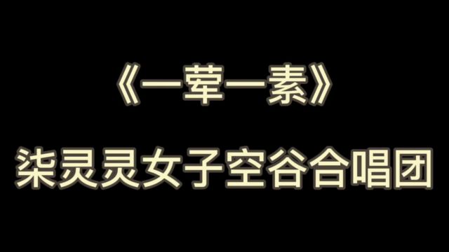 《一荤一素》柒灵灵女子空谷合唱团