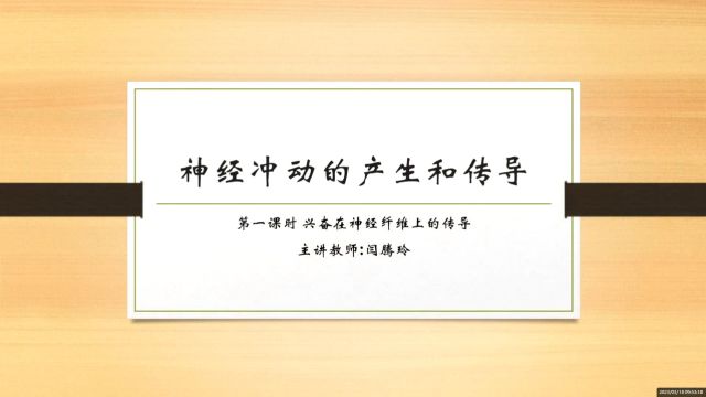 理学部2021级生物科学专业1班闫腾玲《兴奋在神经纤维上的传导》