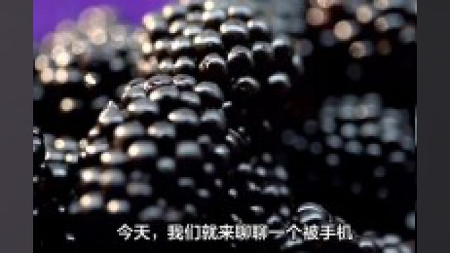 黑莓:一种水果,属于蔷薇科悬钩子属灌木植物,主要原产于新旧大陆北温带,果实为聚合果,黑色或红紫色小核果著生于多汁的花托上,含有丰富的铁和...