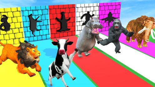 《动物奇幻世界第2季》第01集大象奶牛造型墙比拼争夺牛奶喂宝宝