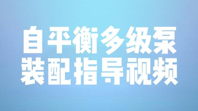 自平衡多级泵装配指导视频