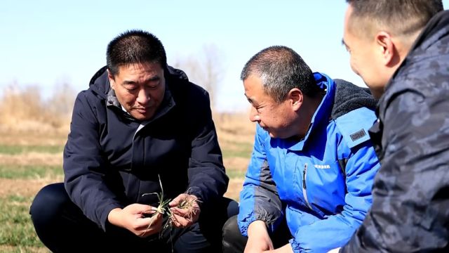 滨州市滨城区:正值春光好 不误农耕事