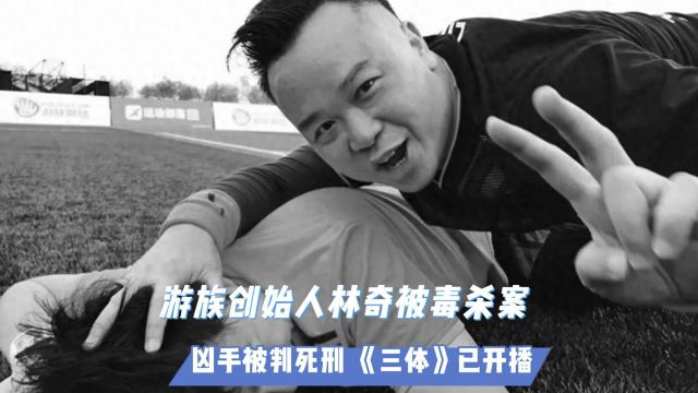 游族创始人林奇被毒杀案:凶手被判死刑 《三体》已开播