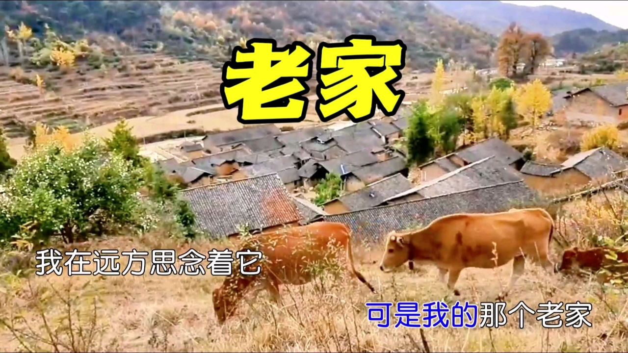 闫学晶演唱的老家图片