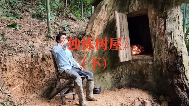 《独栋树屋》下:四千年来第一美男搭建的木屋,真的不是花瓶