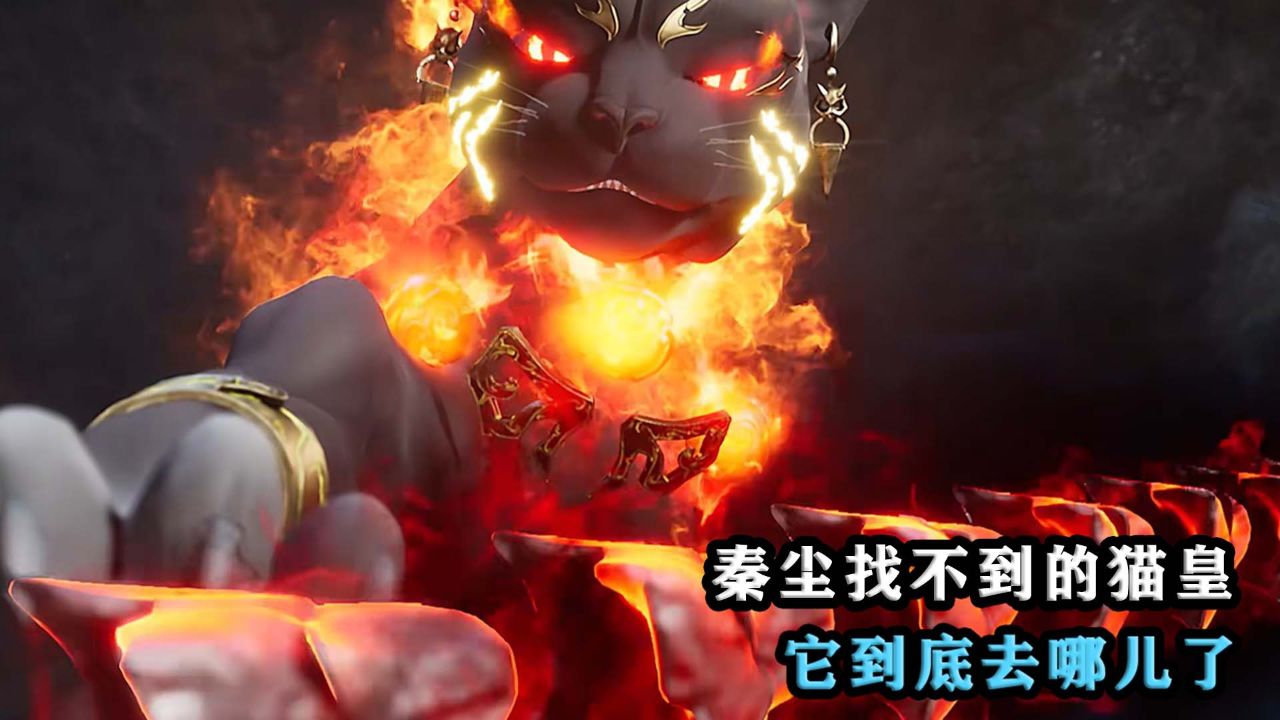 武神主宰:秦尘找不到的猫皇,它到底去哪儿了?