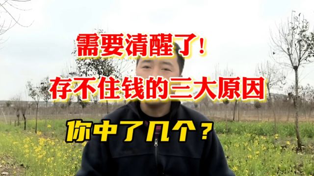 需要清醒了!存不住钱的三大原因,你中了几个?