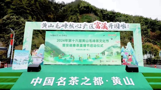 2024年第十六届黄山毛峰茶文化节暨安徽春茶直播节启幕