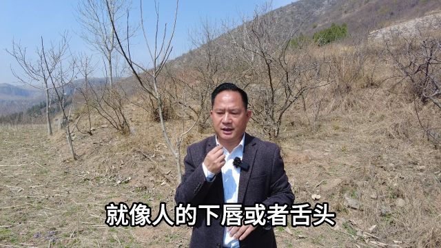 毡唇 弘扬国学传统文化