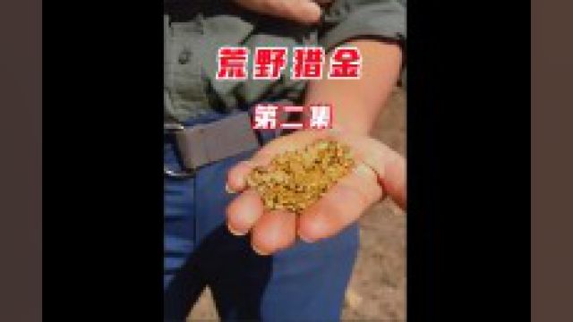 荒野猎金:刚结婚没多久的小两口在荒岛寻找黄金