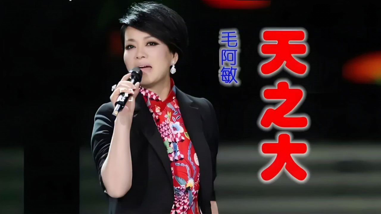 《天之大》毛阿敏,经典歌曲值得听听!